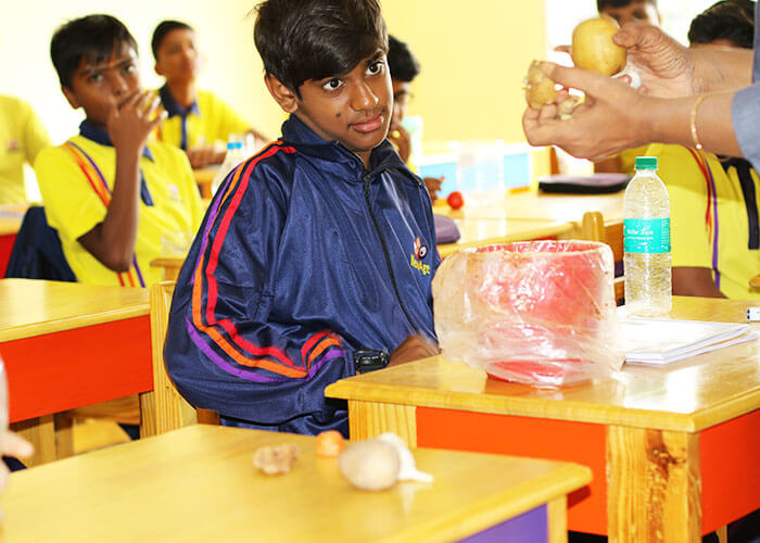 Interactive garden learning at NewAge World School - International Schools in North Bangalore