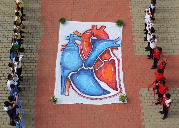 Creative outdoor activity showcasing a human heart model during a science awareness program at NewAge World School.